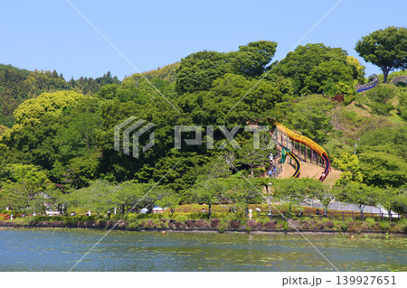 蓮華寺池公園 蓮華寺池 藤枝市 静岡県 東海地方 花・水・鳥・笑顔の楽園 蓮 れんげじいけ 蓮華寺池公園 蓮華寺池 藤枝市 静岡県 東海地方 花・水・鳥・笑顔の楽園 蓮 れんげじいけ 139927651