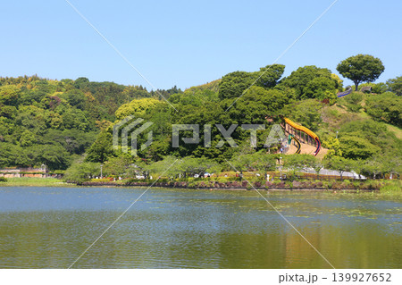 蓮華寺池公園　蓮華寺池　藤枝市　静岡県　東海地方　花・水・鳥・笑顔の楽園　蓮　れんげじいけ　　 139927652