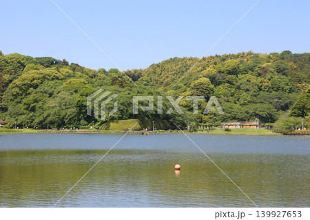 蓮華寺池公園 蓮華寺池 藤枝市 静岡県 東海地方 花・水・鳥・笑顔の楽園 蓮 れんげじいけ 蓮華寺池公園 蓮華寺池 藤枝市 静岡県 東海地方 花・水・鳥・笑顔の楽園 蓮 れんげじいけ 139927653