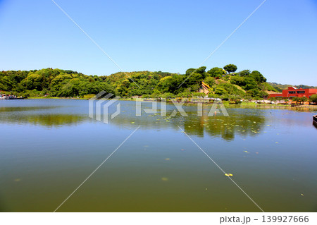 蓮華寺池公園 蓮華寺池 藤枝市 静岡県 東海地方 花・水・鳥・笑顔の楽園 蓮 れんげじいけ 蓮華寺池公園 蓮華寺池 藤枝市 静岡県 東海地方 花・水・鳥・笑顔の楽園 蓮 れんげじいけ 139927666