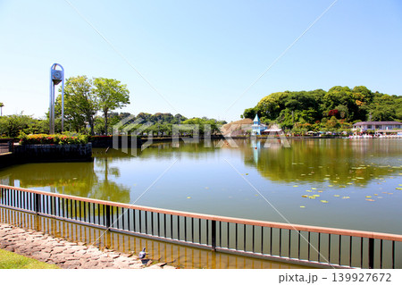 蓮華寺池公園　蓮華寺池　藤枝市　静岡県　東海地方　花・水・鳥・笑顔の楽園　蓮　れんげじいけ　　 139927672