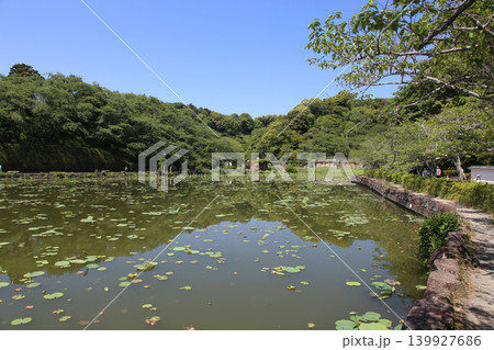 蓮華寺池公園 蓮華寺池 藤枝市 静岡県 東海地方 花・水・鳥・笑顔の楽園 蓮 れんげじいけ 蓮華寺池公園 蓮華寺池 藤枝市 静岡県 東海地方 花・水・鳥・笑顔の楽園 蓮 れんげじいけ 139927686