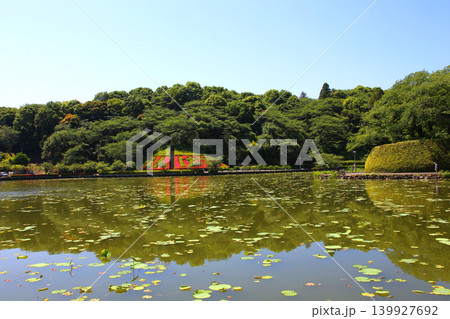 蓮華寺池公園 蓮華寺池 藤枝市 静岡県 東海地方 花・水・鳥・笑顔の楽園 蓮 れんげじいけ 蓮華寺池公園 蓮華寺池 藤枝市 静岡県 東海地方 花・水・鳥・笑顔の楽園 蓮 れんげじいけ 139927692