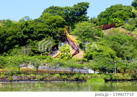 蓮華寺池公園 蓮華寺池 藤枝市 静岡県 東海地方 花・水・鳥・笑顔の楽園 蓮 れんげじいけ 蓮華寺池公園 蓮華寺池 藤枝市 静岡県 東海地方 花・水・鳥・笑顔の楽園 蓮 れんげじいけ 139927710