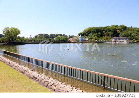 蓮華寺池公園　蓮華寺池　藤枝市　静岡県　東海地方　花・水・鳥・笑顔の楽園　蓮　れんげじいけ　　 139927715