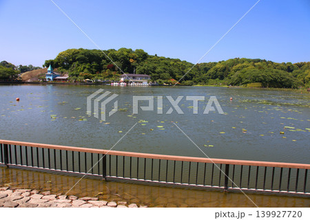 蓮華寺池公園 蓮華寺池 藤枝市 静岡県 東海地方 花・水・鳥・笑顔の楽園 蓮 れんげじいけ 蓮華寺池公園 蓮華寺池 藤枝市 静岡県 東海地方 花・水・鳥・笑顔の楽園 蓮 れんげじいけ 139927720
