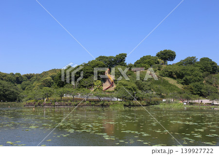 蓮華寺池公園 蓮華寺池 藤枝市 静岡県 東海地方 花・水・鳥・笑顔の楽園 蓮 れんげじいけ 蓮華寺池公園 蓮華寺池 藤枝市 静岡県 東海地方 花・水・鳥・笑顔の楽園 蓮 れんげじいけ 139927722