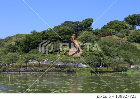 蓮華寺池公園　蓮華寺池　藤枝市　静岡県　東海地方　花・水・鳥・笑顔の楽園　蓮　れんげじいけ　　 139927723