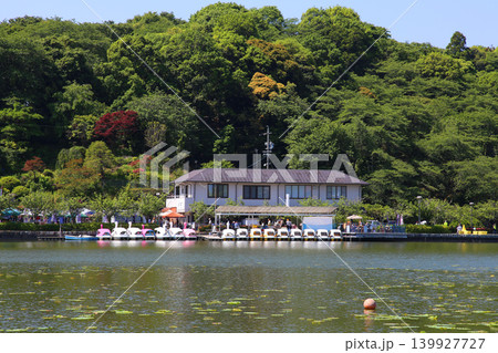 蓮華寺池公園 蓮華寺池 藤枝市 静岡県 東海地方 花・水・鳥・笑顔の楽園 蓮 れんげじいけ 蓮華寺池公園 蓮華寺池 藤枝市 静岡県 東海地方 花・水・鳥・笑顔の楽園 蓮 れんげじいけ 139927727