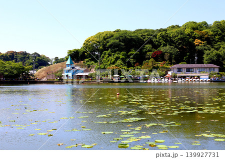 蓮華寺池公園 蓮華寺池 藤枝市 静岡県 東海地方 花・水・鳥・笑顔の楽園 蓮 れんげじいけ 蓮華寺池公園 蓮華寺池 藤枝市 静岡県 東海地方 花・水・鳥・笑顔の楽園 蓮 れんげじいけ 139927731