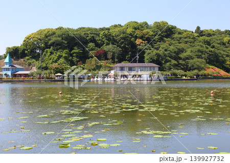 蓮華寺池公園 蓮華寺池 藤枝市 静岡県 東海地方 花・水・鳥・笑顔の楽園 蓮 れんげじいけ 蓮華寺池公園 蓮華寺池 藤枝市 静岡県 東海地方 花・水・鳥・笑顔の楽園 蓮 れんげじいけ 139927732