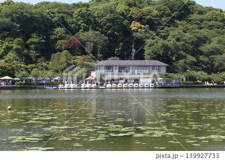 蓮華寺池公園　蓮華寺池　藤枝市　静岡県　東海地方　花・水・鳥・笑顔の楽園　蓮　れんげじいけ　　 139927733