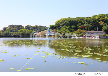 蓮華寺池公園 蓮華寺池 藤枝市 静岡県 東海地方 花・水・鳥・笑顔の楽園 蓮 れんげじいけ 蓮華寺池公園 蓮華寺池 藤枝市 静岡県 東海地方 花・水・鳥・笑顔の楽園 蓮 れんげじいけ 139927756