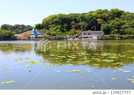 蓮華寺池公園 蓮華寺池 藤枝市 静岡県 東海地方 花・水・鳥・笑顔の楽園 蓮 れんげじいけ 蓮華寺池公園 蓮華寺池 藤枝市 静岡県 東海地方 花・水・鳥・笑顔の楽園 蓮 れんげじいけ 139927757