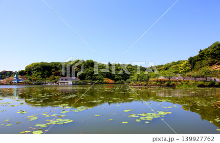 蓮華寺池公園 蓮華寺池 藤枝市 静岡県 東海地方 花・水・鳥・笑顔の楽園 蓮 れんげじいけ 蓮華寺池公園 蓮華寺池 藤枝市 静岡県 東海地方 花・水・鳥・笑顔の楽園 蓮 れんげじいけ 139927762