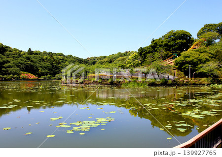 蓮華寺池公園　蓮華寺池　藤枝市　静岡県　東海地方　花・水・鳥・笑顔の楽園　蓮　れんげじいけ　　 139927765