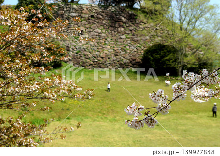佐賀県の歴史的観光名所、「名護屋城跡」 満開の桜で賑わう春の風景 佐賀県の歴史的観光名所、「名護屋城跡」 満開の桜で賑わう春の風景 139927838