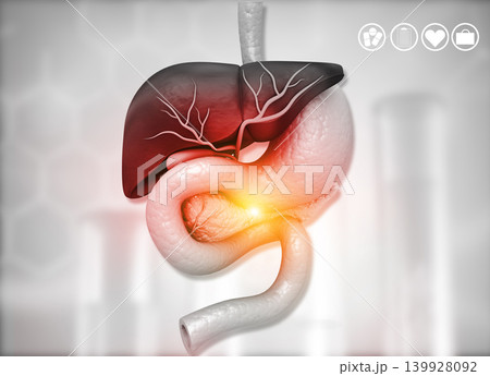 Human body with digestive system Human body with digestive system 139928092