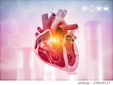 Cross section of human heart diagram Cross section of human heart diagram 139928117