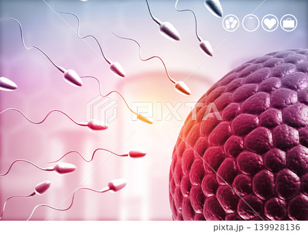 Human eggs and sperm, Sperm swimming to egg 139928136