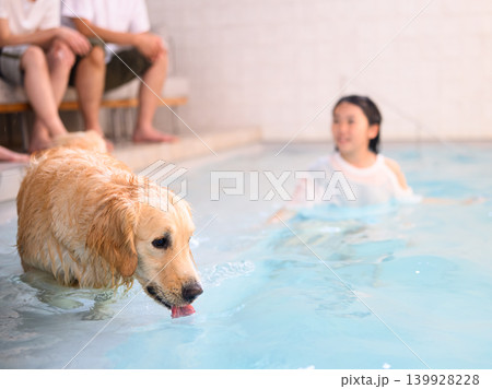 犬とプールで楽しむ人々 139928228