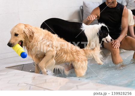 水遊びを楽しむ犬たち 水遊びを楽しむ犬たち 139928256