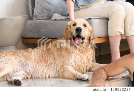 濡れた犬がお風呂場でリラックス 139928257