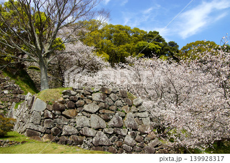 佐賀県の歴史的観光名所、「名護屋城跡」 満開の桜で賑わう春の風景 佐賀県の歴史的観光名所、「名護屋城跡」 満開の桜で賑わう春の風景 139928317