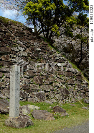 佐賀県の歴史的観光名所、「名護屋城跡」 満開の桜で賑わう春の風景 佐賀県の歴史的観光名所、「名護屋城跡」 満開の桜で賑わう春の風景 139928322