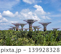 シンガポール・ガーデンズ・バイ・ザ・ベイの近未来風景 139928328