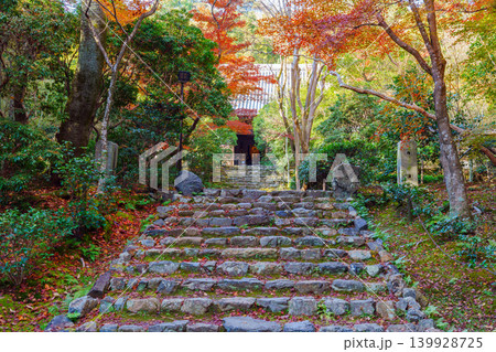 紅葉に覆われた石段 浄住寺 紅葉に覆われた石段 浄住寺 139928725
