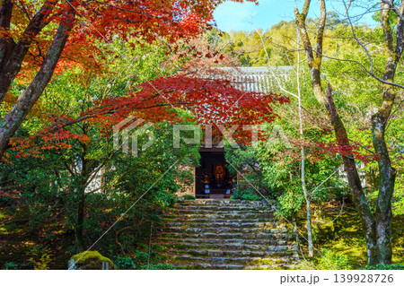 紅葉に覆われた石段 浄住寺 紅葉に覆われた石段 浄住寺 139928726