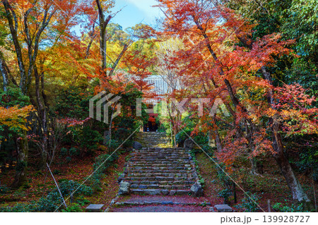 紅葉に覆われた石段 浄住寺 紅葉に覆われた石段 浄住寺 139928727
