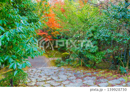 紅葉に覆われた石段 浄住寺 紅葉に覆われた石段 浄住寺 139928730
