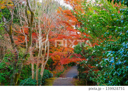 紅葉に覆われた石段 浄住寺 紅葉に覆われた石段 浄住寺 139928731