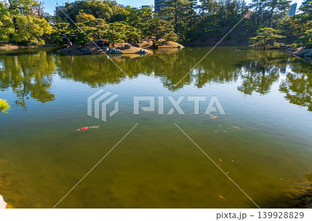 【特別名勝】栗林公園 晩秋の風景 北湖と庭園2 香川県高松市 【特別名勝】栗林公園 晩秋の風景 北湖と庭園2 香川県高松市 139928829