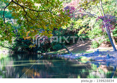 【特別名勝】栗林公園　晩秋の風景　西湖のたたずまい　香川県高松市 139928834