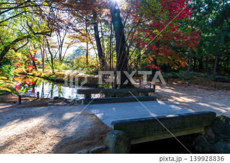 【特別名勝】栗林公園 晩秋の風景 紅葉と木漏れ日の石橋1 香川県高松市 【特別名勝】栗林公園 晩秋の風景 紅葉と木漏れ日の石橋1 香川県高松市 139928836