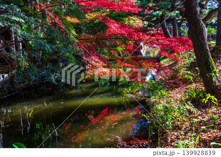【特別名勝】栗林公園 晩秋の風景 紅葉と水路3 香川県高松市 【特別名勝】栗林公園 晩秋の風景 紅葉と水路3 香川県高松市 139928839
