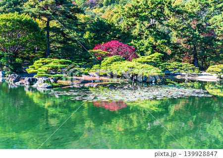 【特別名勝】栗林公園 晩秋の風景 涵翠池越しの紅葉 香川県高松市 【特別名勝】栗林公園 晩秋の風景 涵翠池越しの紅葉 香川県高松市 139928847