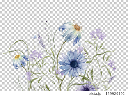 Watercolor design elements of bouquet depicting a blue wildflower botanical chamomile hand drawn illustrations. Composition delicate of purple phlox, lavender wildflower herbs on isolated background. Watercolor design elements of bouquet depicting a blue wildflower botanical chamomile hand drawn illustrations. Composition delicate of purple phlox, lavender wildflower herbs on isolated background. 139929192
