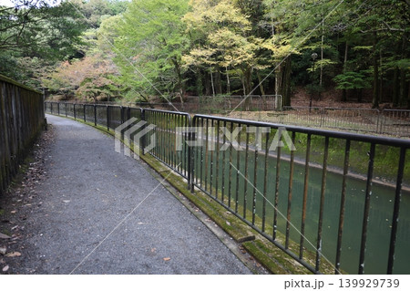 川のある風景 139929739