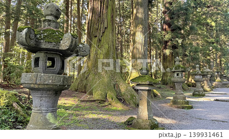 富士浅間神社の杉並木と苔むした石灯籠 日本の伝統的な風景 富士浅間神社の杉並木と苔むした石灯籠 日本の伝統的な風景 139931461