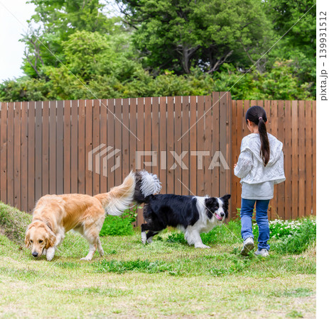 少女と犬たちの庭 少女と犬たちの庭 139931512