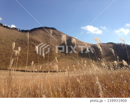 秋の草原とススキ、青空と山の風景 秋の草原とススキ、青空と山の風景 139931908