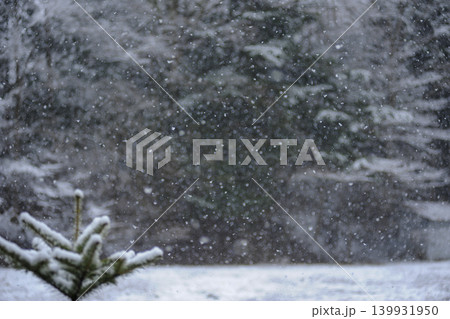 息をひそめてしんしんと雪が降る 息をひそめてしんしんと雪が降る 139931950
