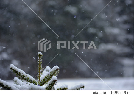 しんしんと降る雪が止む時 139931952