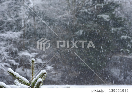 しんしんと雪が降る しんしんと雪が降る 139931953