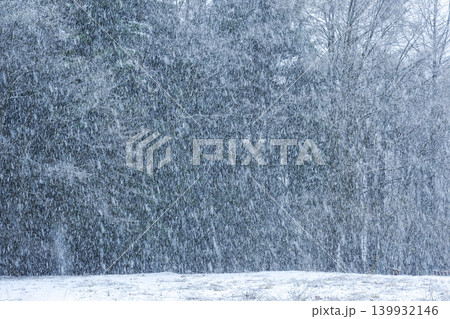 しんしんと降る雪がたちまち銀世界に変える しんしんと降る雪がたちまち銀世界に変える 139932146