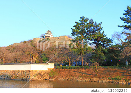 香川県丸亀市、丸亀城の風景 139932253